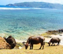 lombok